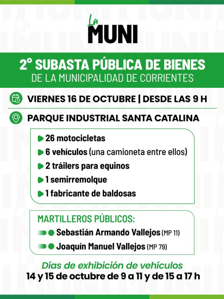 Máquina bloquera y adoquinera marca Rauzi